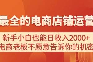 （11266期）电商店铺运营教学，新手小白也能日收入2000+，电商老板不愿意告诉你的机密