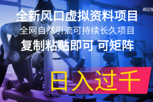 （11587期）全新风口虚拟资料项目 全网自然引流可持续长久项目 复制粘贴即可可矩阵…