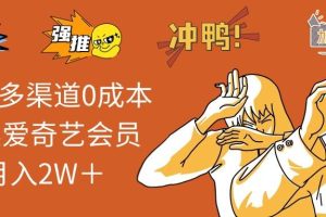 （14118期）2025多渠道0成本售卖爱奇艺会员月入2W＋