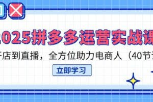 （14259期）2025拼多多运营实战课，从开店到直播，全方位助力电商人（40节课）