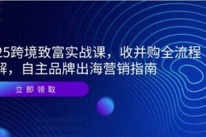 （14975期）2025跨境致富实战课，收并购全流程拆解，自主品牌出海营销指南