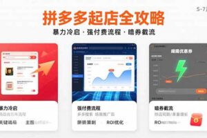 （15670期）拼多多起店全攻略，暴力冷启，强付费流程，暗券截流，5-7月已验证的方法