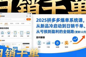 （16894期）2025拼多多爆单系统课，从新品冷启动到日销千单、从亏损到盈利的全链路（更新12月）