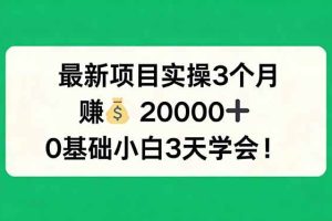 （17856期）最新项目实操3个月，赚钱20000+，0基础小白3天学会！